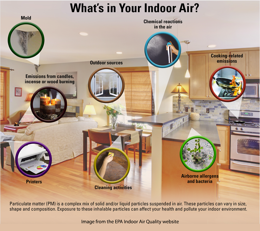 The Ins and Outs of Exposure to Air Pollution American Council on Science and Health